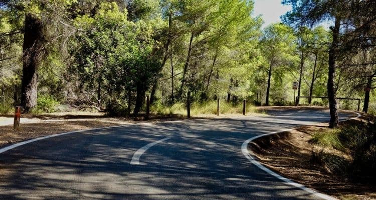 CYCLING IN PALMA
